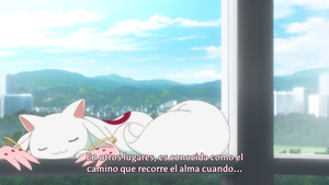 Magia Record: Mahou Shoujo Madoka☆Magica Gaiden (TV)